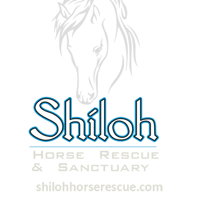 Shiloh Horse Rescue & Sanctuary