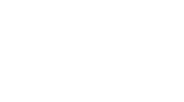 Vegas Golden Knights Foundation