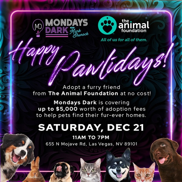 Animal Fondation Mondays Dark LV | Happy Pawlidays