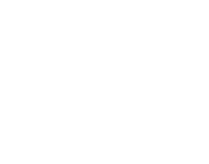Flecha Tequila logo